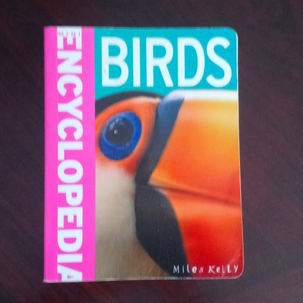 📚 Mini Encyclopedia: Birds